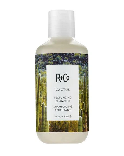 Shop R + Co 6 Oz. Cactus Texturizing Shampoo