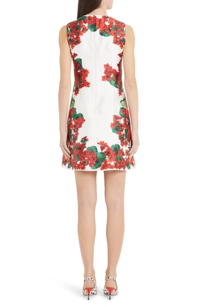 Shop Dolce & Gabbana Geranium Print A-line Silk Minidress In Red