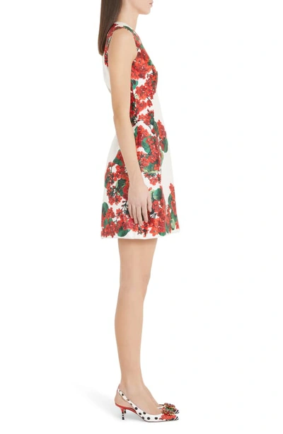 Shop Dolce & Gabbana Geranium Print A-line Silk Minidress In Red