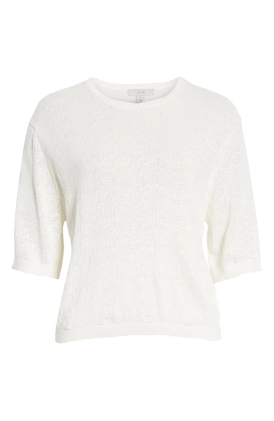 Shop Joie Brikly Pointelle Sweater In Porcelain