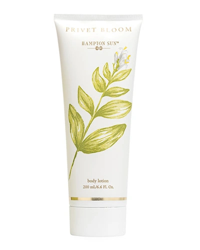 Shop Hampton Sun 6.6 Oz. Privet Bloom Body Lotion