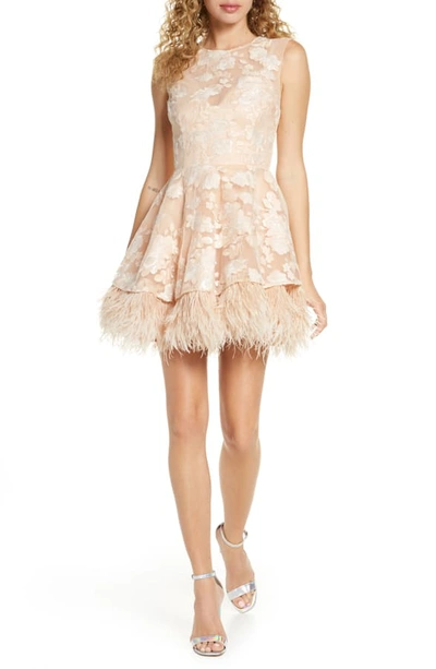Shop Bronx And Banco Viola Feather Hem Lace Skater Dress In Nude