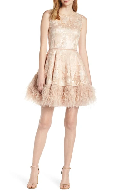 Shop Bronx And Banco Viola Feather Hem Lace Skater Dress In Nude