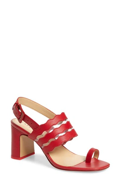 Shop Katy Perry Sense Toe Loop Slingback Sandal In Spanish Red