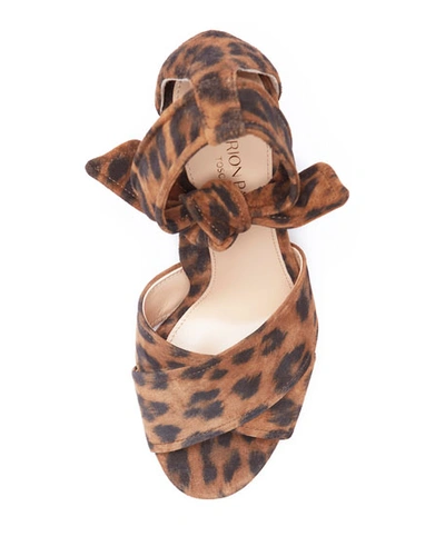 Shop Marion Parke Bella Leopard Suede Crisscross Ankle-tie Sandals