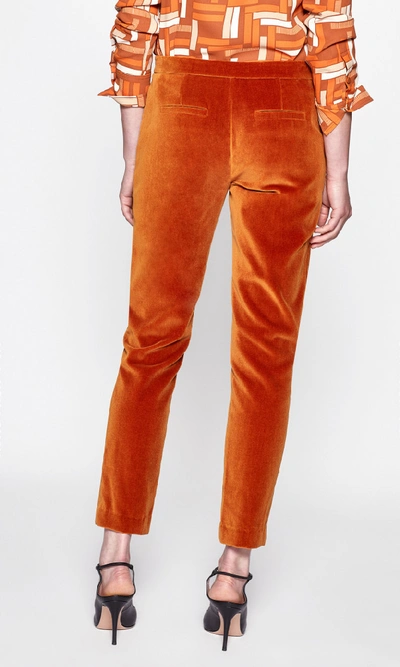 Shop Equipment Burcet Velvet Trouser In Sugar Almond