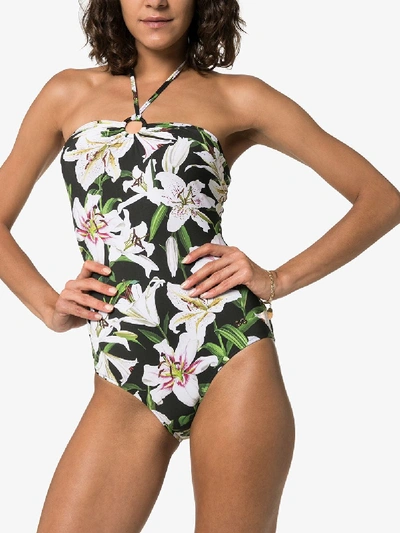 Shop Dolce & Gabbana Lily Print Halterneck Swimsuit In Black