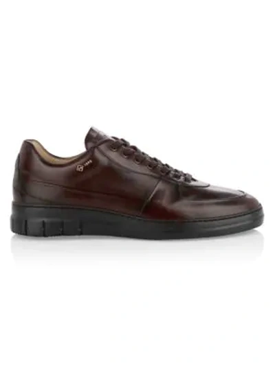 Shop Dunhill Duke City Leather Sneakers In Dark Chocolate