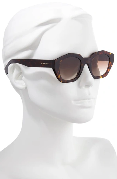 Shop Burberry 46mm Geometric Sunglasses - Dark Havana