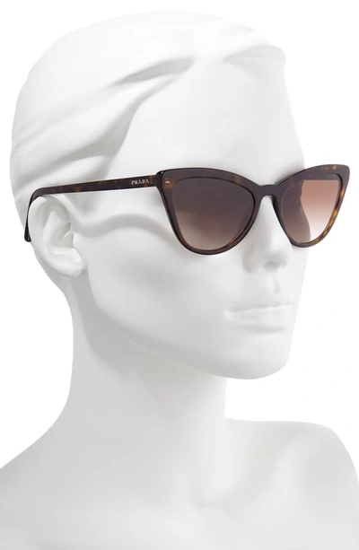 Shop Prada 56mm Cat Eye Sunglasses In Havana/ Brown Gradient