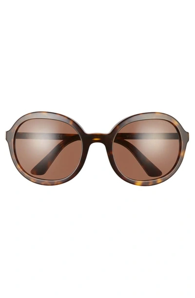Shop Prada 56mm Round Sunglasses In Havana/ Brown Solid