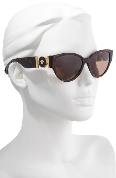 Shop Versace 56mm Cat Eye Sunglasses In Havana/ Brown Solid