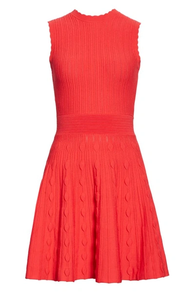 Shop Ted Baker Kamylia Scallop Knit Skater Dress In Bright Red