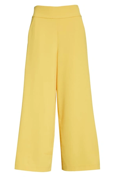 Shop Alice And Olivia Donald High Waist Gaucho Pants In Golden Rod