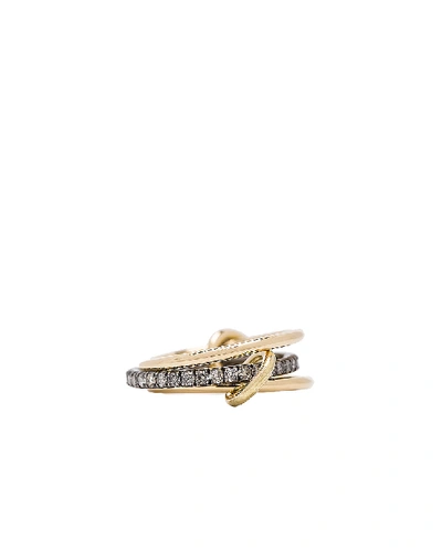 Shop Spinelli Kilcollin Tigris Ring In 18k Yellow Gold