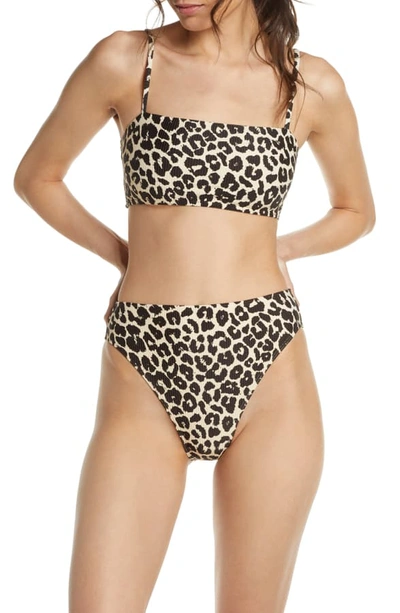 Shop Something Navy Classic Ribbed Swim Bandeau Top In Brown Ganache Leopard