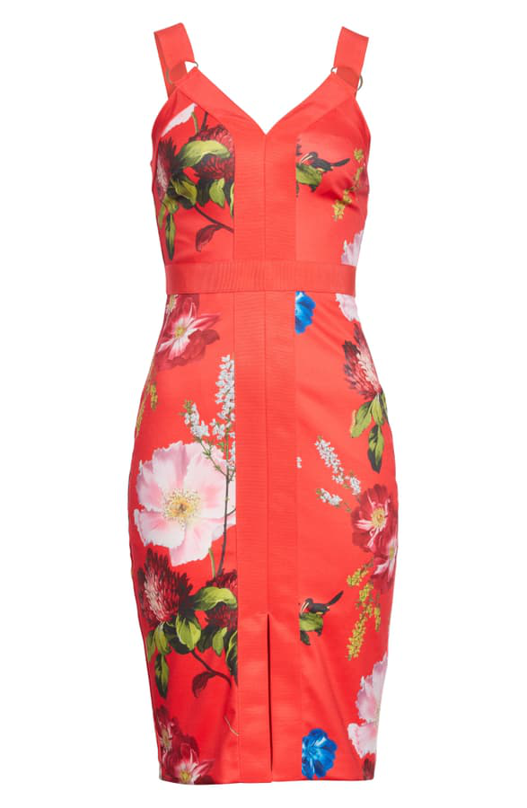 amylia ted baker dress