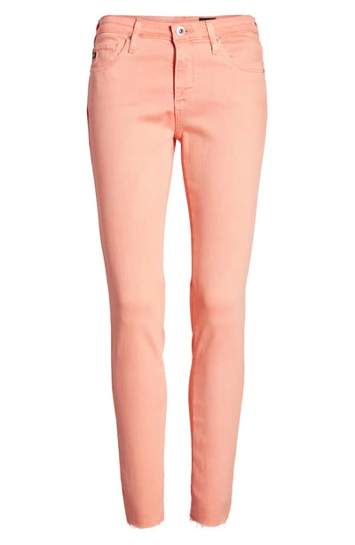 Shop Ag The Legging Ankle Super Skinny Jeans In Hi White Peach Quartz