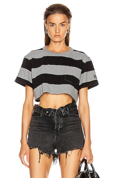Shop Alexander Wang T T By Alexander Wang Wash And Go Wide Stripe Crop In Black,gray,stripes In Charcoal & Black