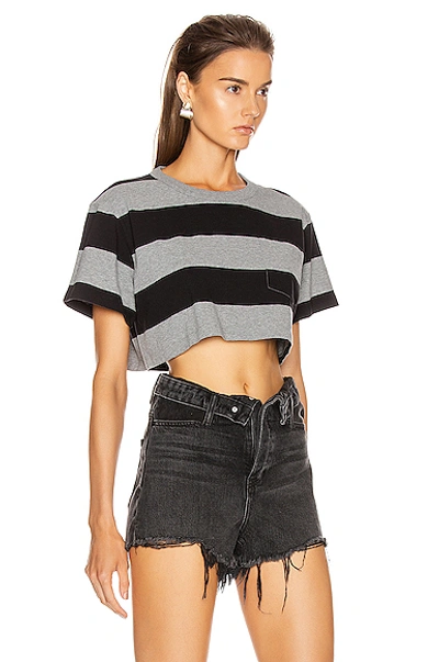 Shop Alexander Wang T T By Alexander Wang Wash And Go Wide Stripe Crop In Black,gray,stripes In Charcoal & Black