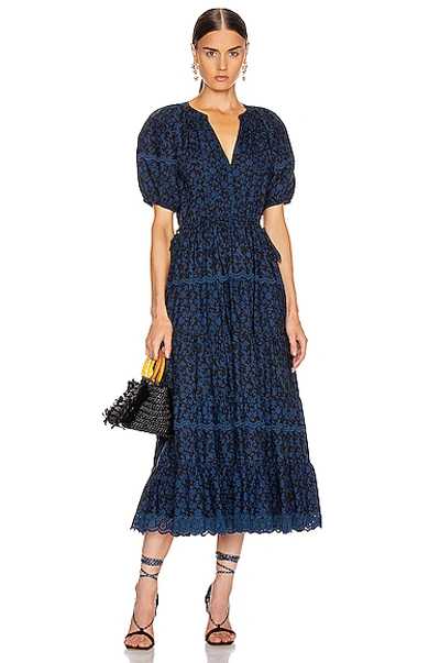 Shop Ulla Johnson Claribel Dress In Midnight Floral