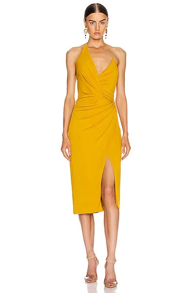 Shop Cushnie Halter Neck Low Back Pencil Dress In Yellow In Antique Gold