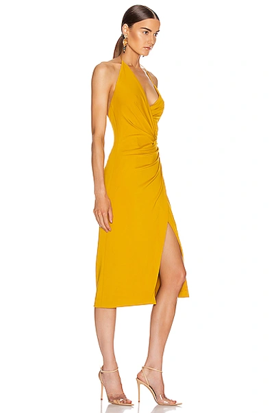 Shop Cushnie Halter Neck Low Back Pencil Dress In Yellow In Antique Gold