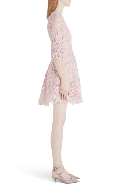 Shop Valentino Scalloped Lace A-line Minidress In C57-pink