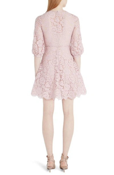 Shop Valentino Scalloped Lace A-line Minidress In C57-pink