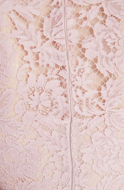 Shop Valentino Scalloped Lace A-line Minidress In C57-pink