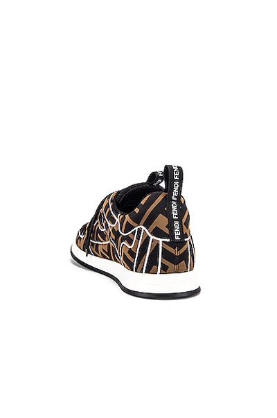 Fendi Ffreedom Logo Embroidered Trainer In Brown & Black