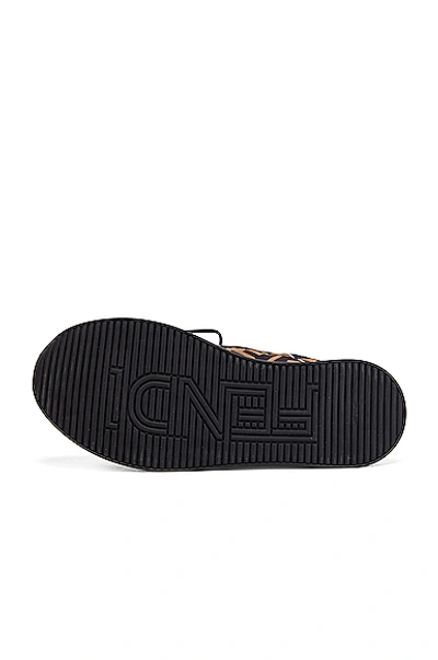 Fendi Ffreedom Logo Embroidered Trainer In Brown & Black