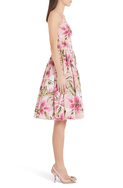 Shop Dolce & Gabbana Lily Print Silk Organza Fit & Flare Dress In Pink Lily
