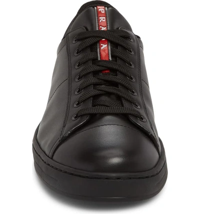 Shop Prada The Avenue Sneaker In Nero