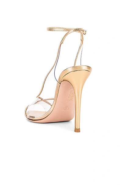 Shop Gianvito Rossi Ankle Strap Heels In Gold & Transparent