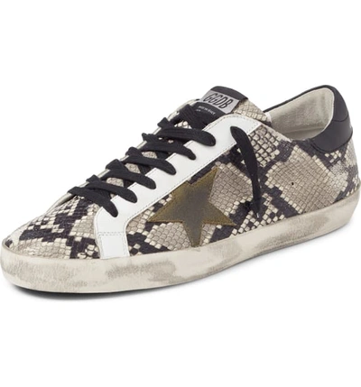 Shop Golden Goose Superstar Sneaker In Natural Snake Print/ Green