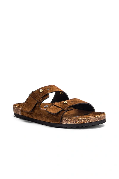 Shop Saint Laurent Jimmy Buckle Sandals In Land