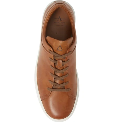 Shop Aquatalia Alaric Sneaker In Cognac