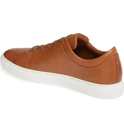 Shop Aquatalia Alaric Sneaker In Cognac