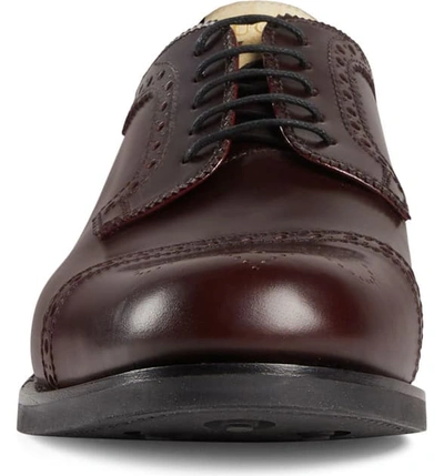 Shop Gucci Darko Cap Toe Derby In Bordeaux