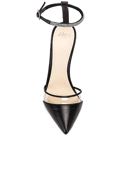 Shop Alevì Milano Alevi Alice Heel In Campari Black