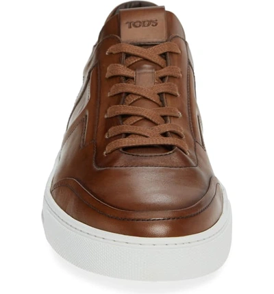 Shop Tod's Cassetta Sneaker In Caramel/ Special Leather