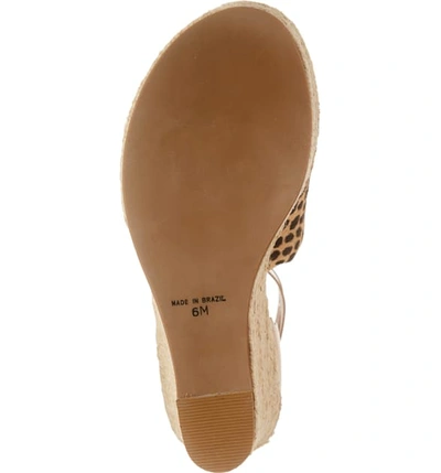 Shop Matisse Roma Espadrille Wedge Sandal In Tan Leopard