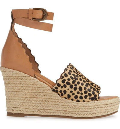 Shop Matisse Roma Espadrille Wedge Sandal In Tan Leopard