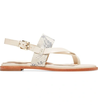 Shop Cole Haan Anica Sandal In Ivory Roccia Print Leather