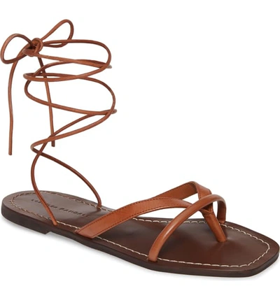 Shop Loeffler Randall Lilla Ankle Wrap Thong Sandal In Brown