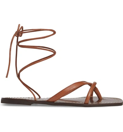 Shop Loeffler Randall Lilla Ankle Wrap Thong Sandal In Brown