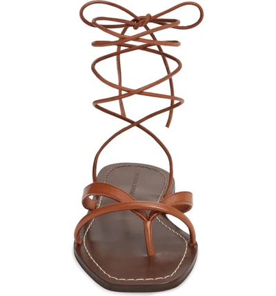 Shop Loeffler Randall Lilla Ankle Wrap Thong Sandal In Brown
