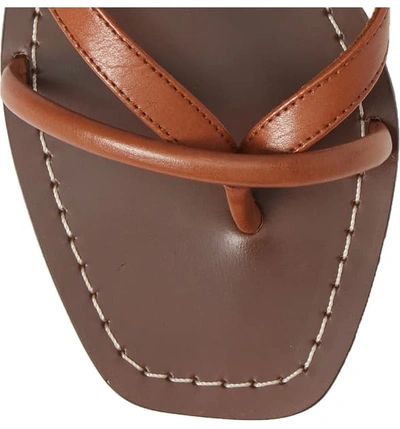 Shop Loeffler Randall Lilla Ankle Wrap Thong Sandal In Brown