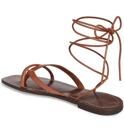 Shop Loeffler Randall Lilla Ankle Wrap Thong Sandal In Brown